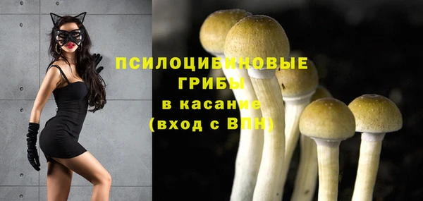 тгк Каменка