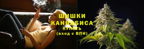 прущие грибы Каменск-Шахтинский
