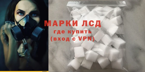 прущие грибы Каменск-Шахтинский