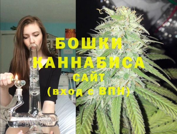 прущие грибы Каменск-Шахтинский