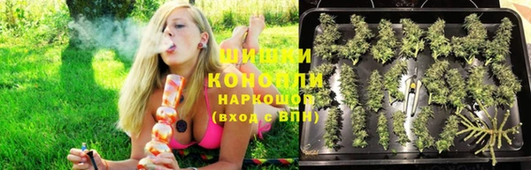 прущие грибы Каменск-Шахтинский