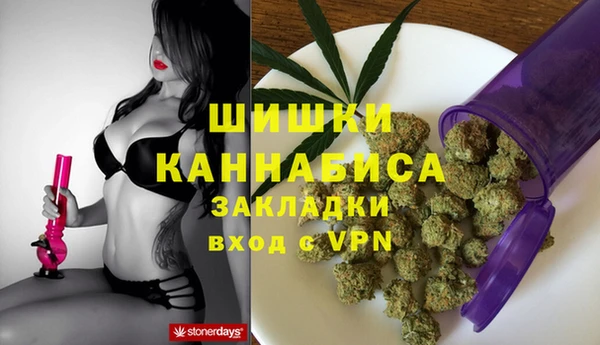 прущие грибы Каменск-Шахтинский
