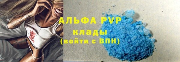 прущие грибы Каменск-Шахтинский