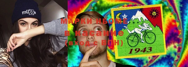 тгк Каменка
