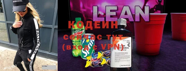 тгк Каменка