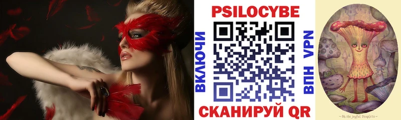 Псилоцибиновые грибы GOLDEN TEACHER  Купить где  Завитинск 