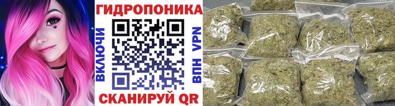 Марихуана VHQ  Купить где  Завитинск 
